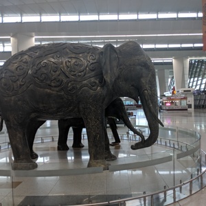 Day 14 - New Delhi
